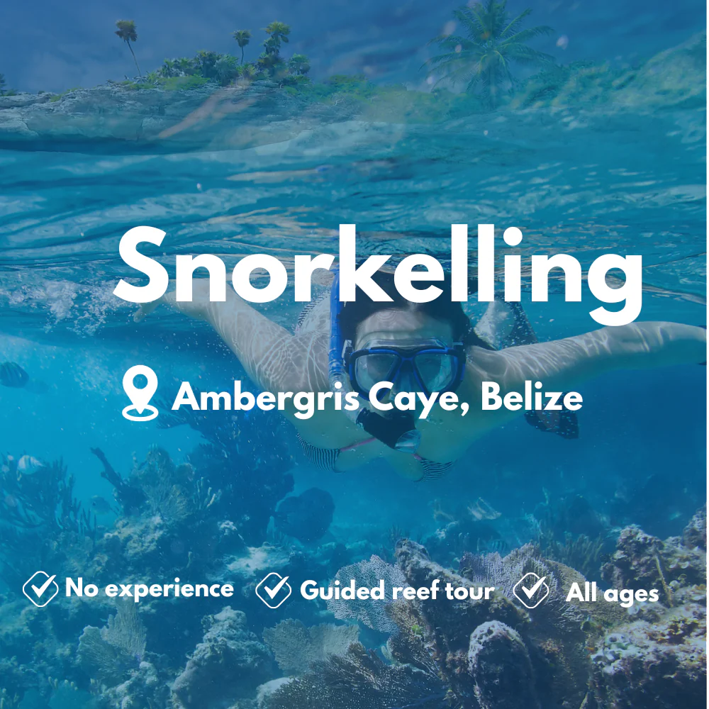 Snorkelling course in Ambergris Caye