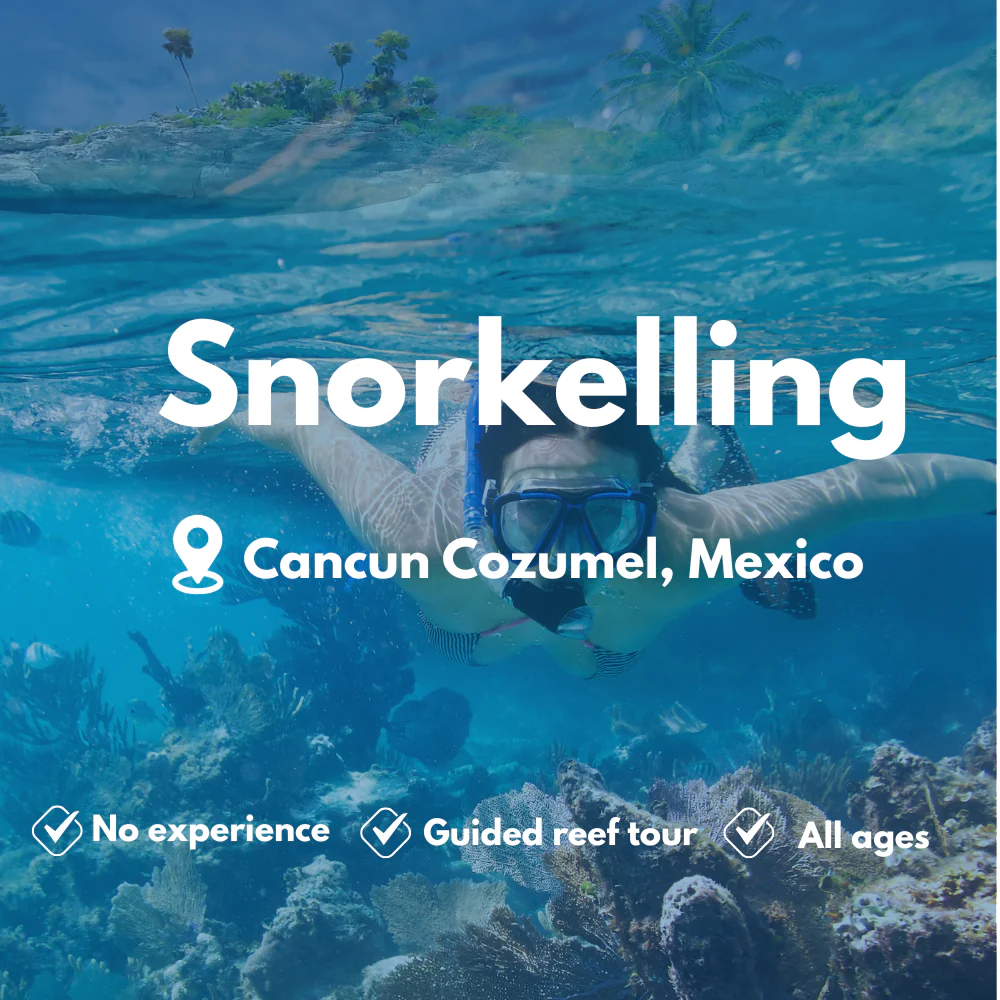 Snorkelling course in Cancun Cozumel
