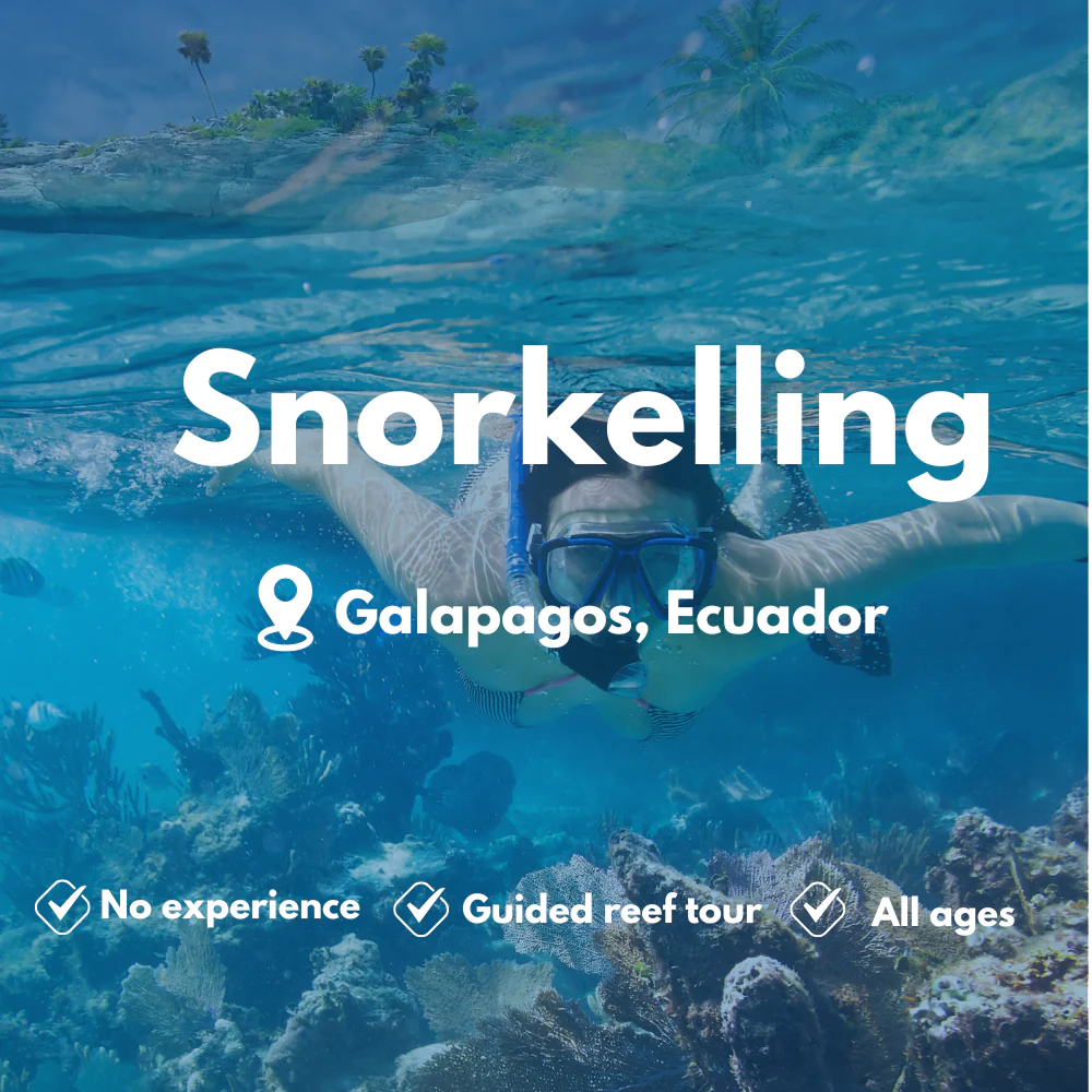Snorkelling course in Galapagos