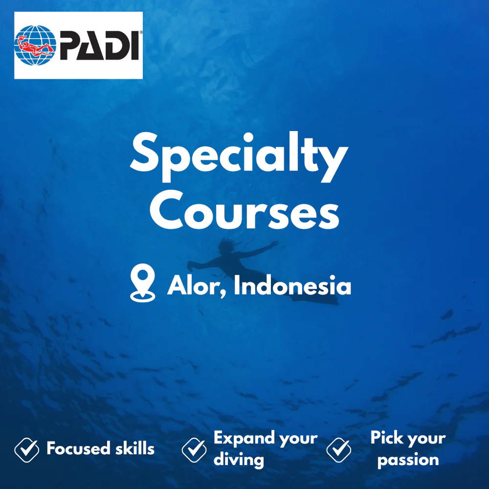 Specialty Courses course in Alor