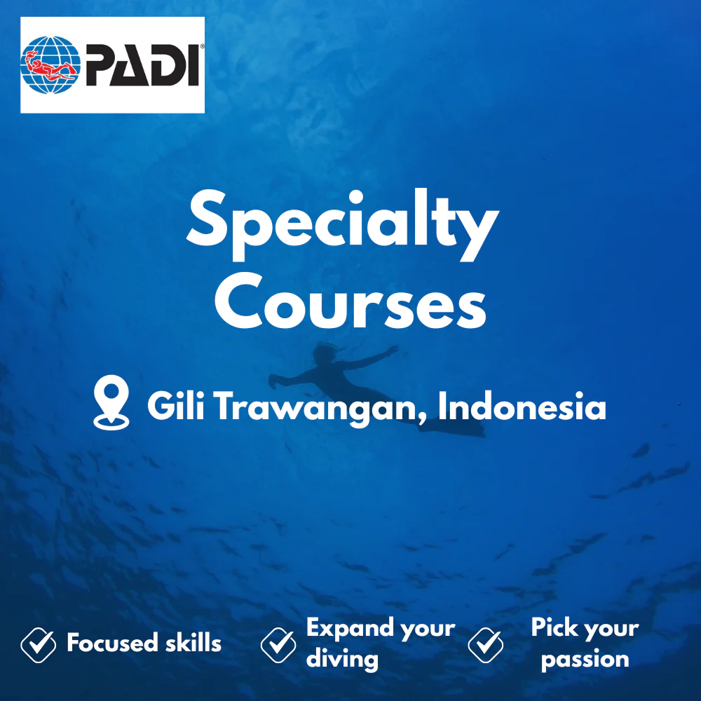 PADI Specialty Courses course in Gili Trawangan