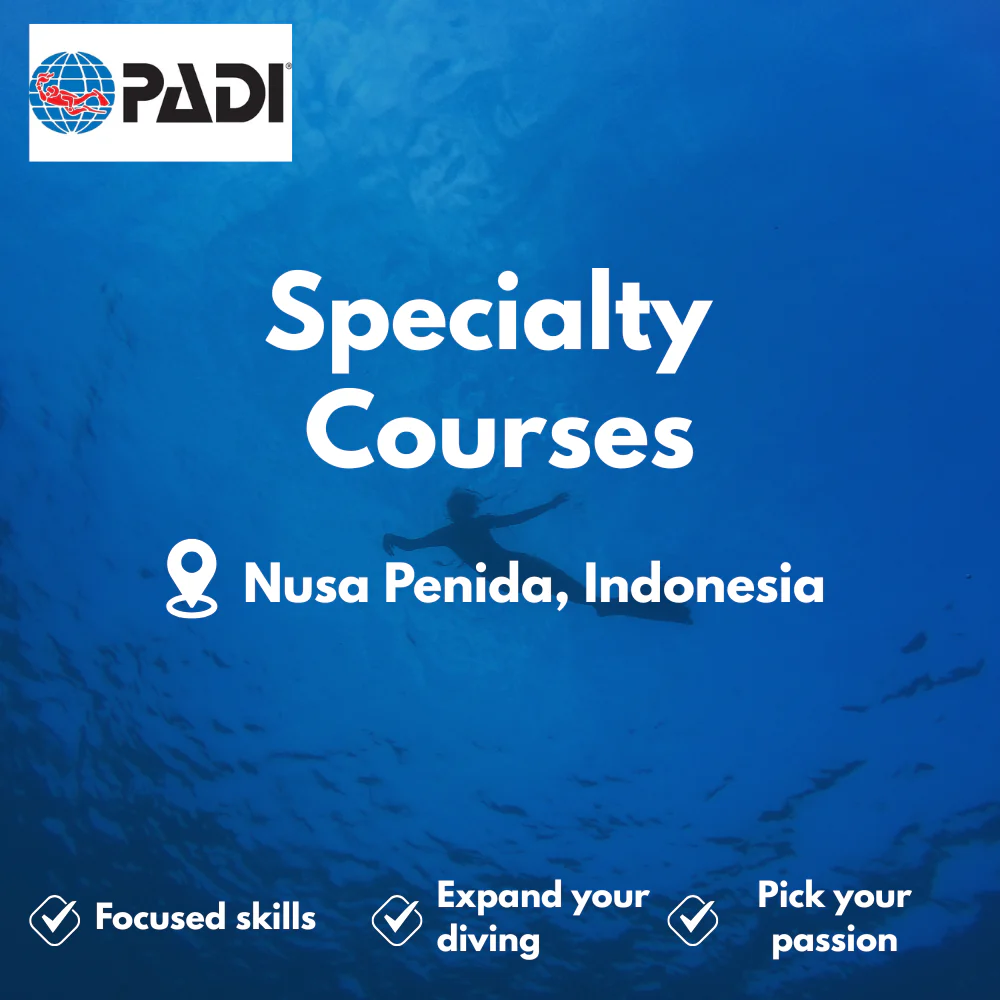Specialty Courses course in Nusa Penida