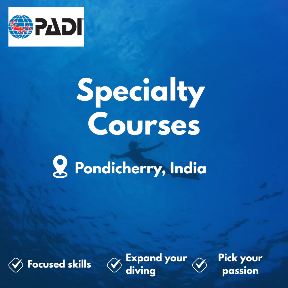 Specialty Courses course in Pondicherry