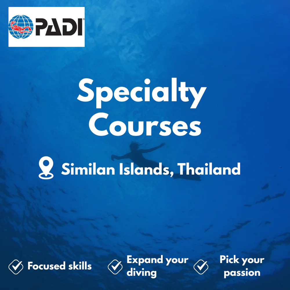 Specialty Courses course in Similan Islands