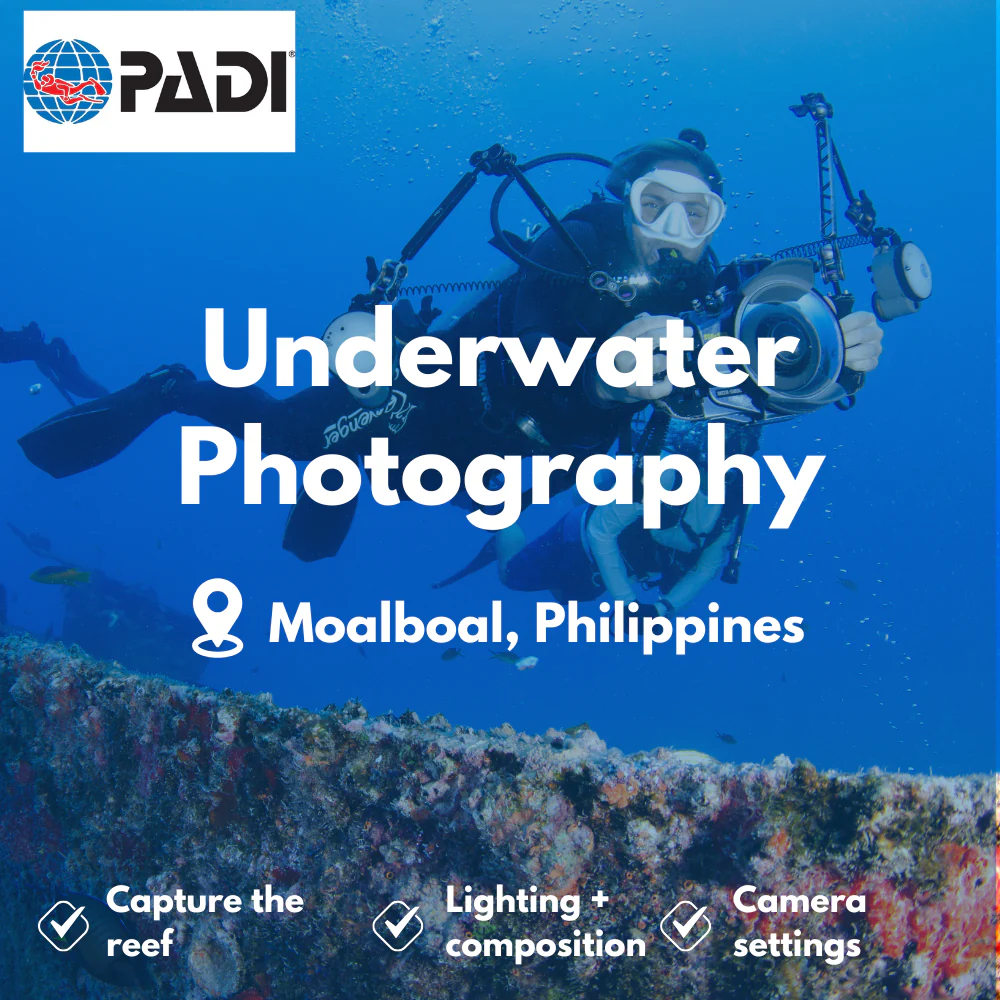 Underwater Photography course in Moalboal