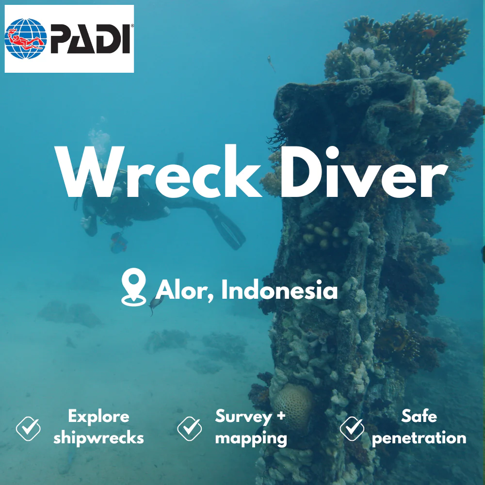 Wreck Diver course in Alor