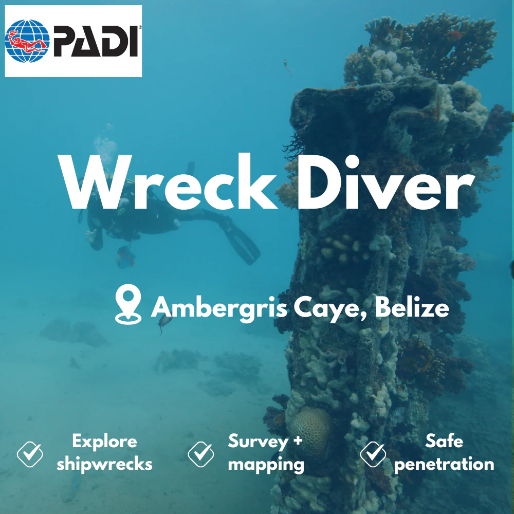 Wreck Diver course in Ambergris Caye