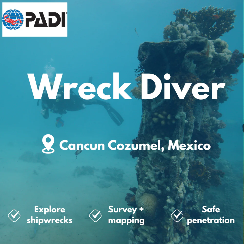 PADI Wreck Diver course in Cancun Cozumel