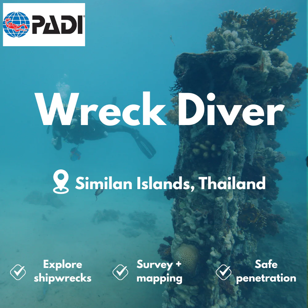 Wreck Diver course in Similan Islands