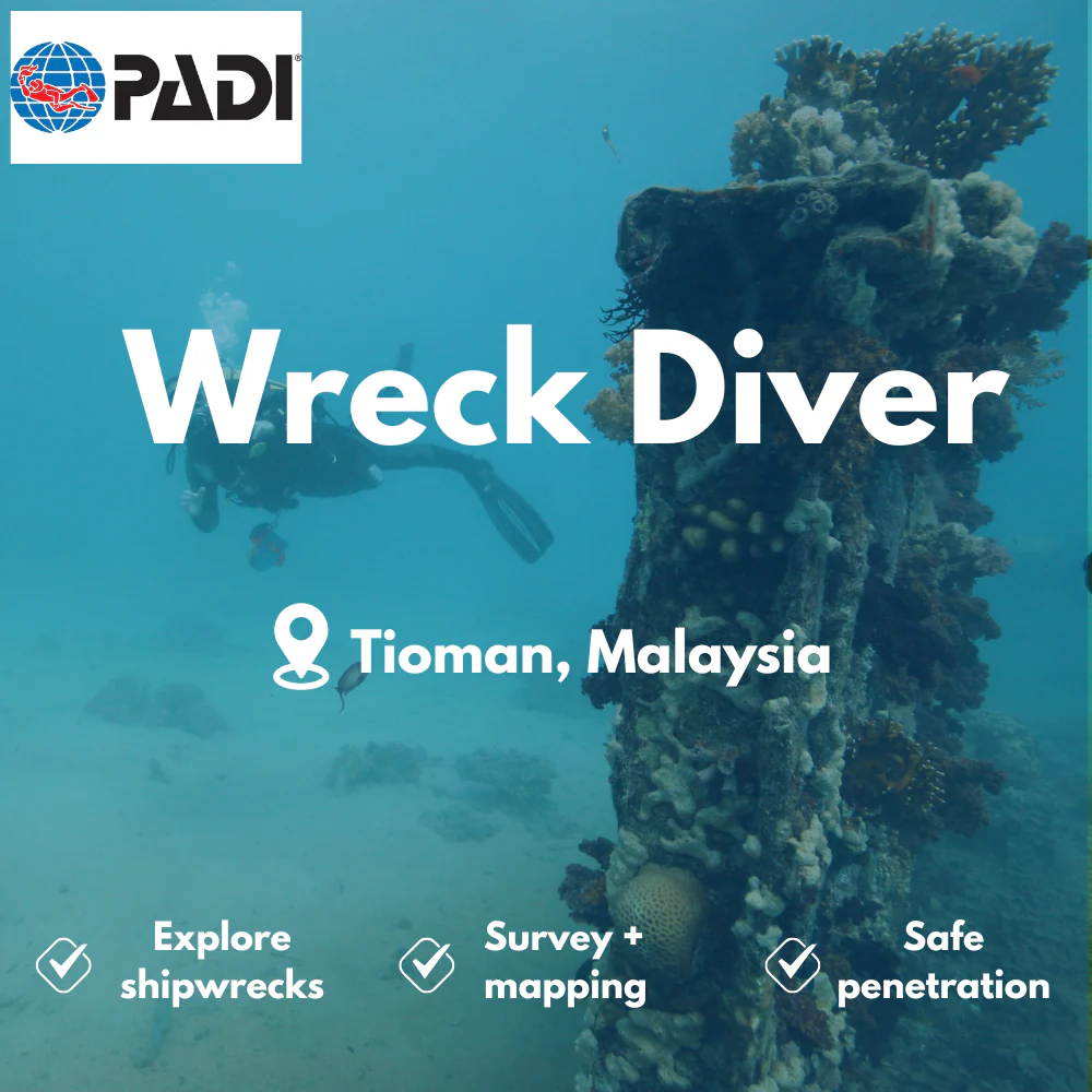 Wreck Diver course in Tioman