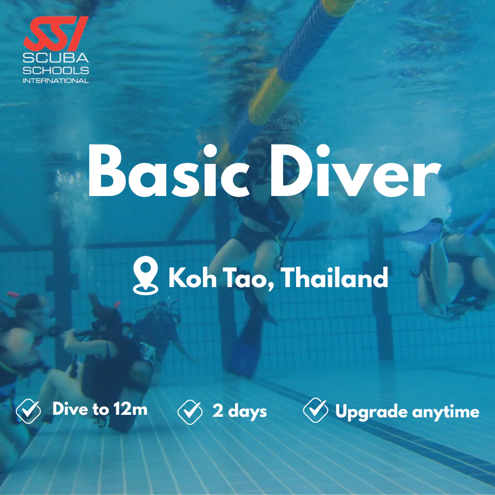 SSI Basic Diver course in Koh Tao