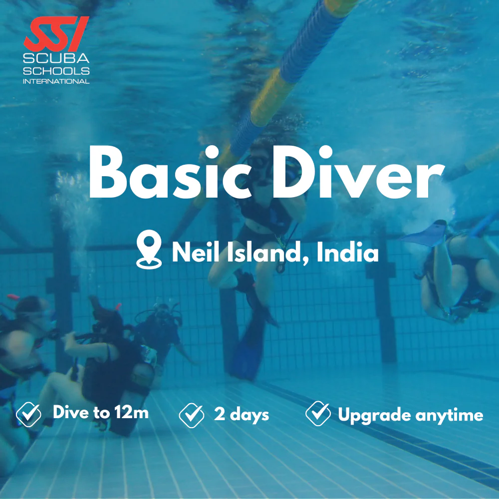 Basic Diver course in Neil Island