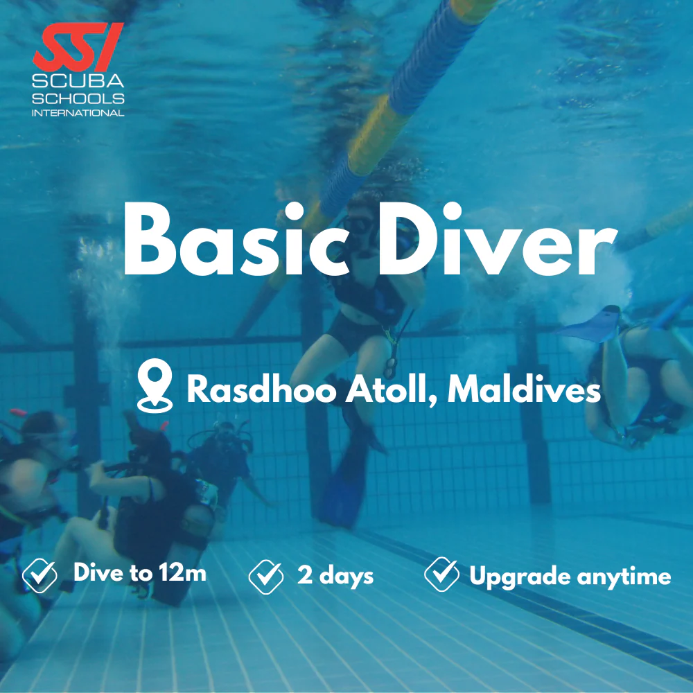 Basic Diver course in Rasdhoo Atoll