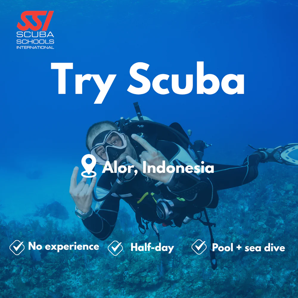 SSI Discover Scuba course in Alor