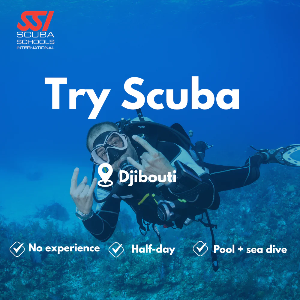 SSI Discover Scuba course in Djibouti
