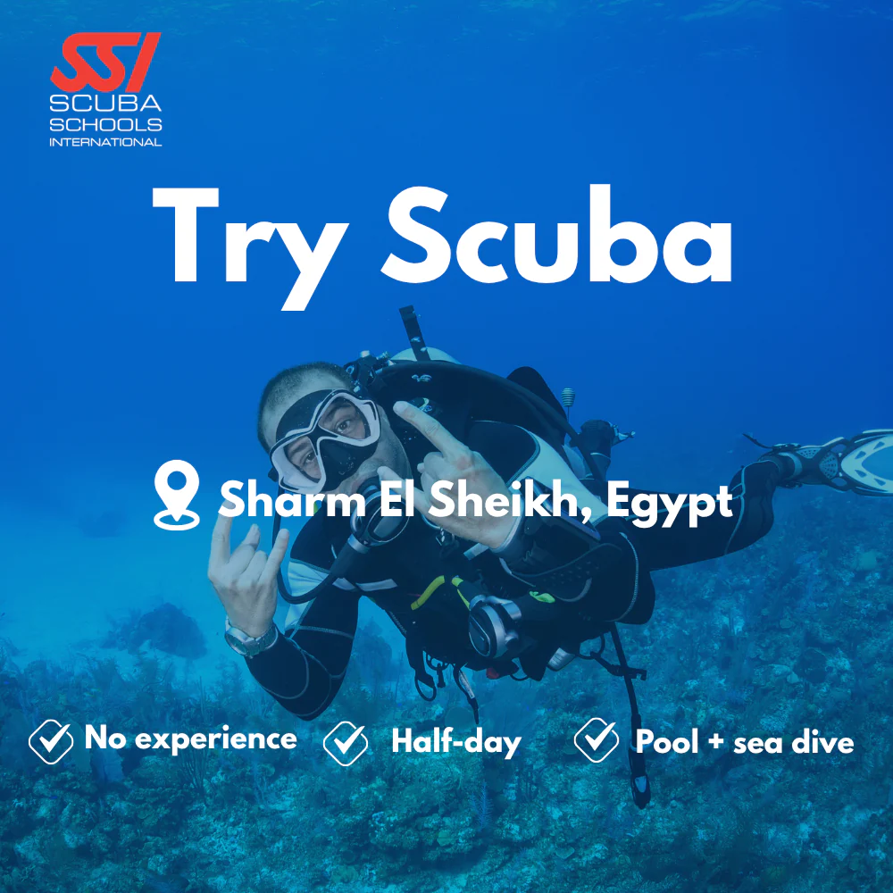 SSI Discover Scuba course in Sharm El Sheikh