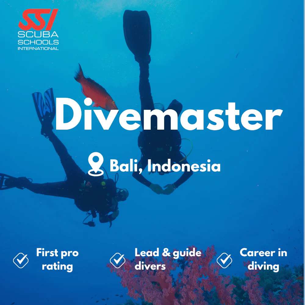 SSI Divemaster course in Bali