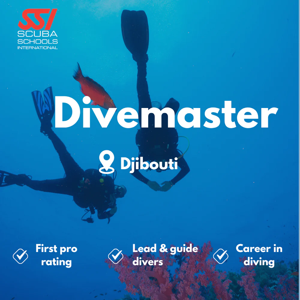 SSI Divemaster course in Djibouti