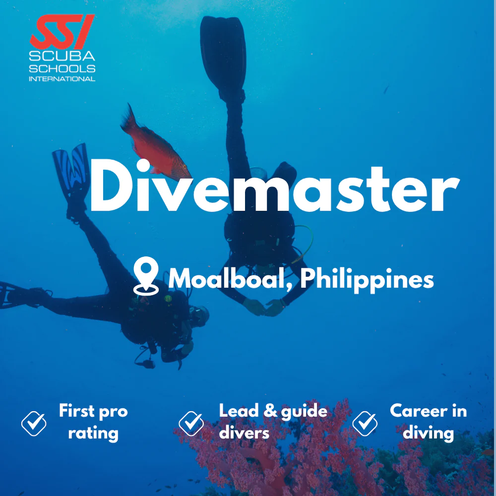 SSI Divemaster course in Moalboal
