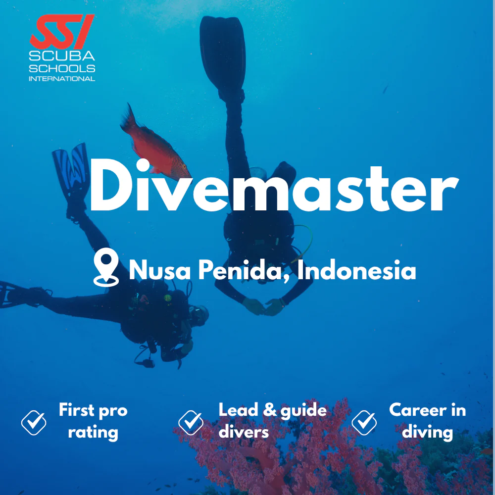 SSI Divemaster course in Nusa Penida