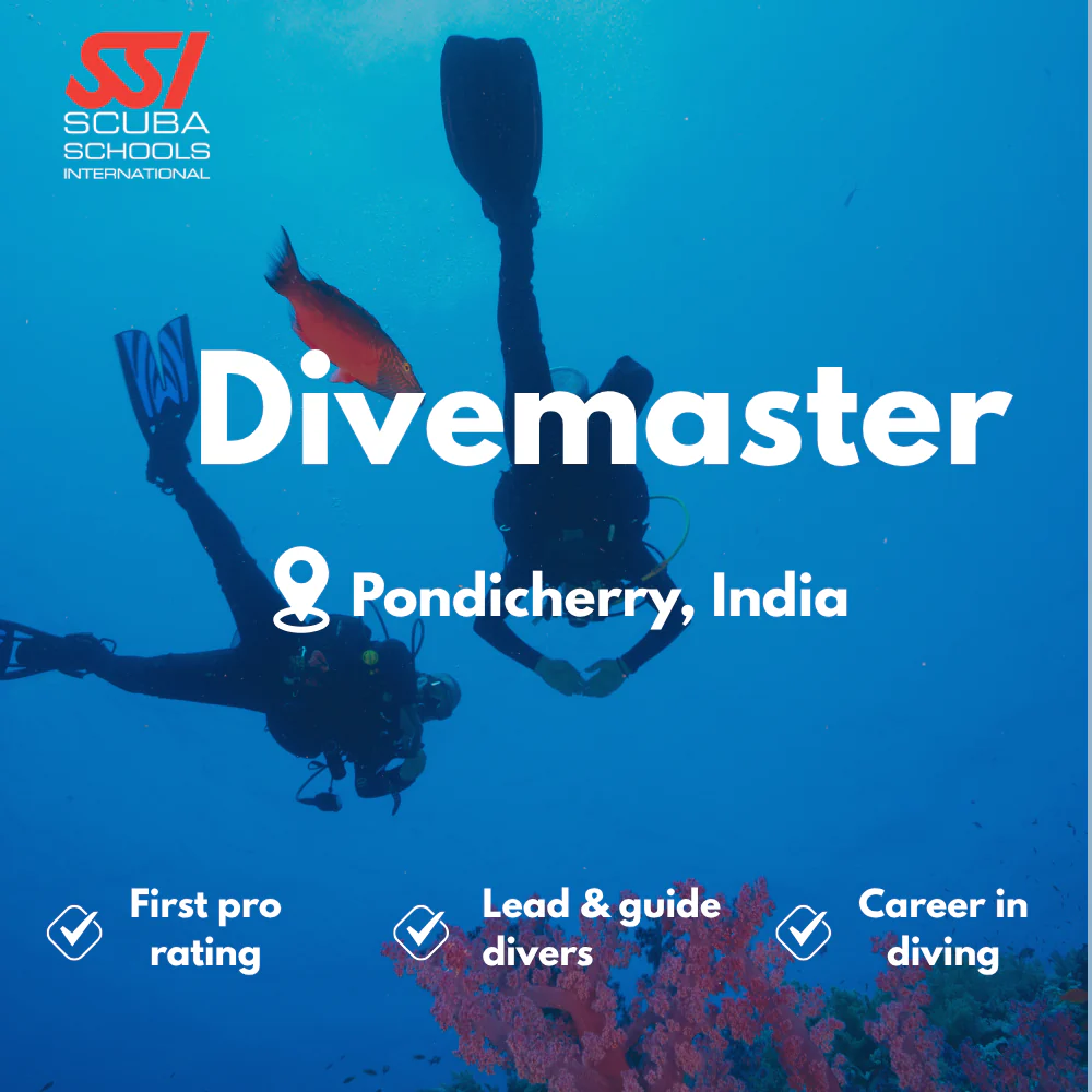 SSI Divemaster course in Pondicherry
