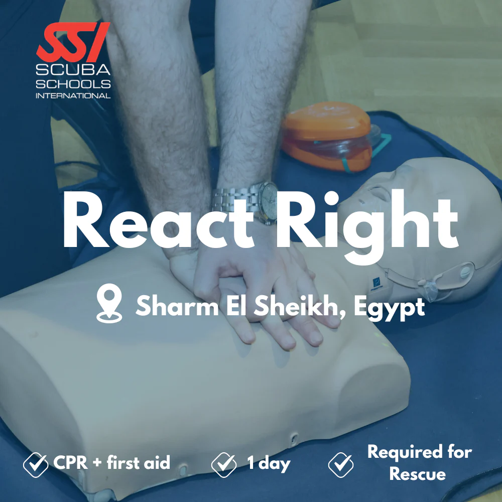Emergency First Response course in Sharm El Sheikh