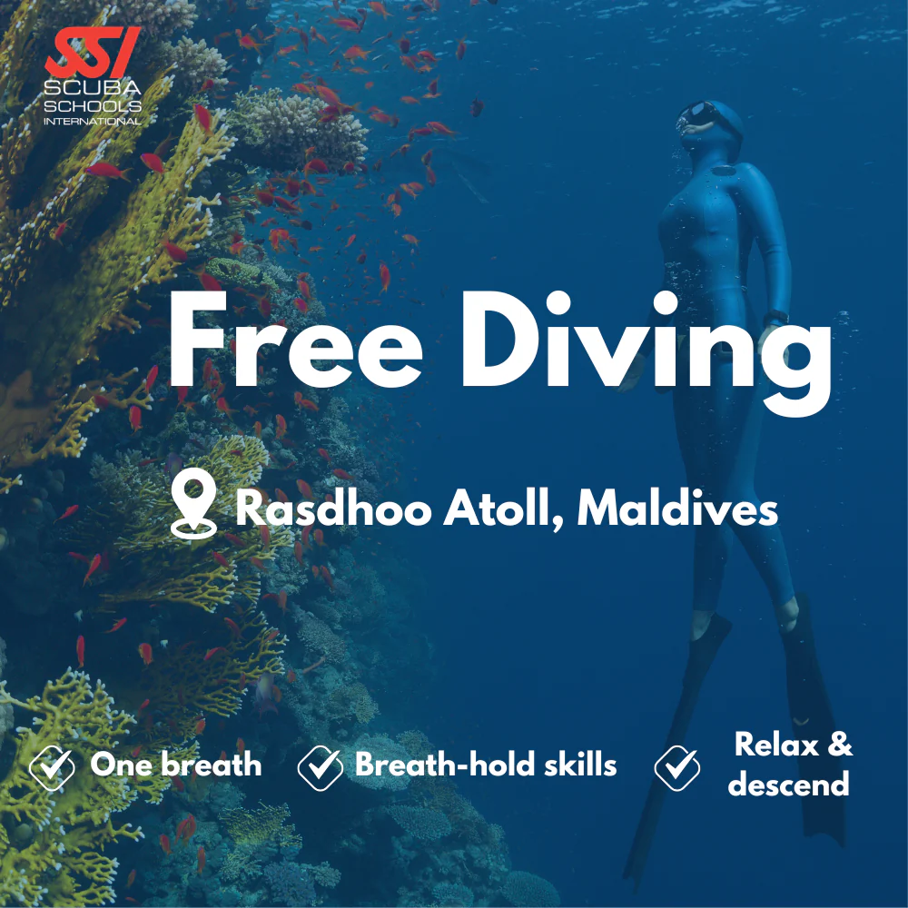 Freediving course in Rasdhoo Atoll