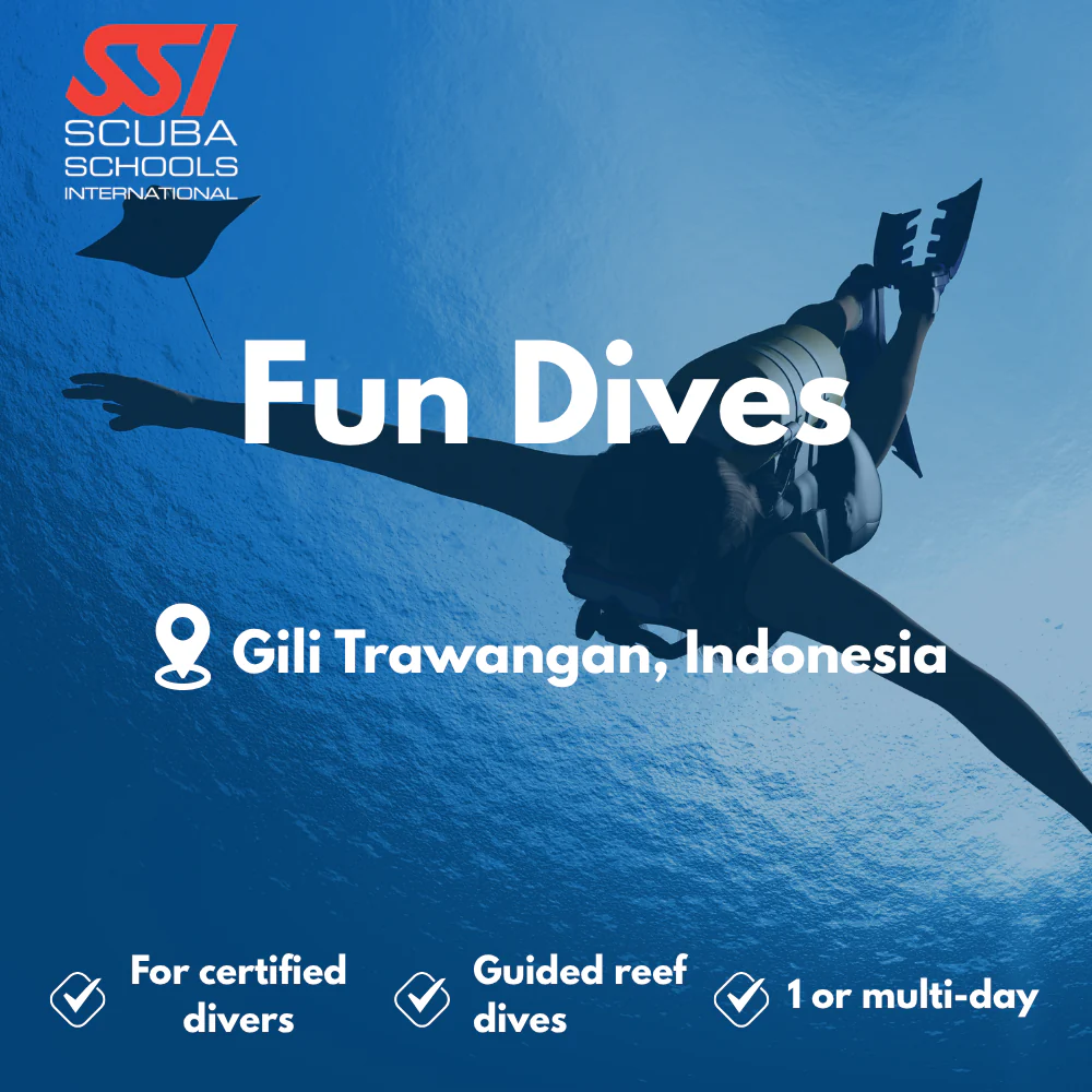 SSI Fun Dives course in Gili Trawangan