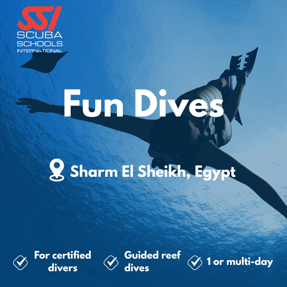 SSI Fun Dives course in Sharm El Sheikh