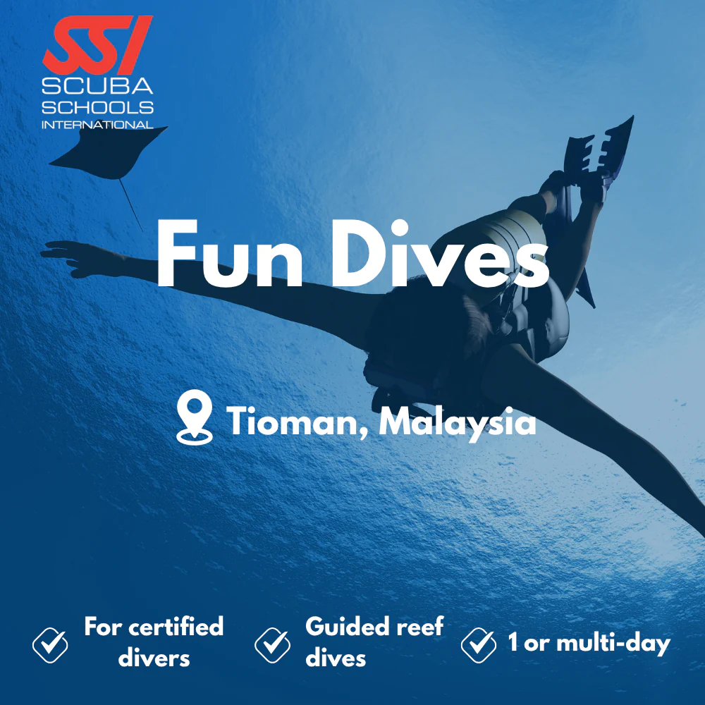 Fun Dives course in Tioman