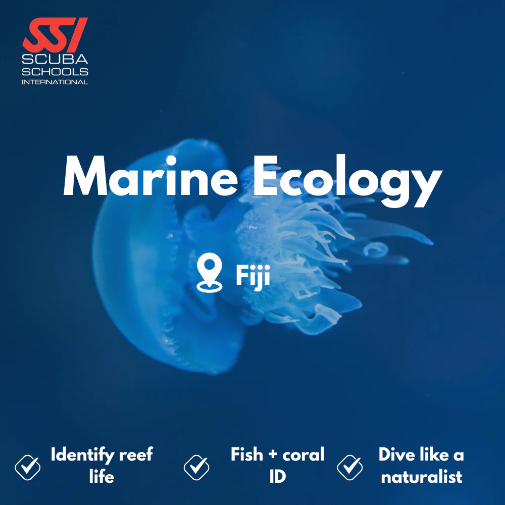 Marine Ecology & Fish ID course in Fiji