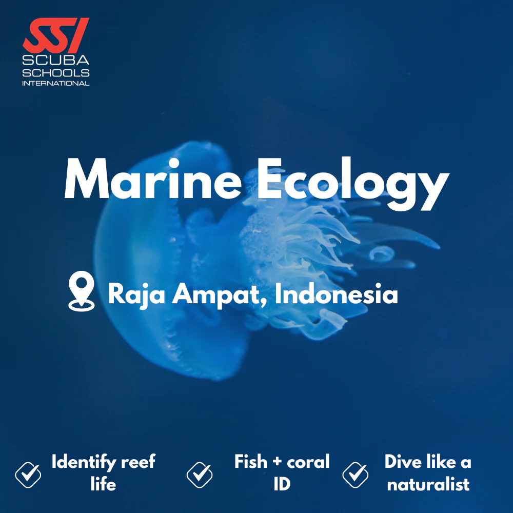 SSI Marine Ecology & Fish ID course in Raja Ampat