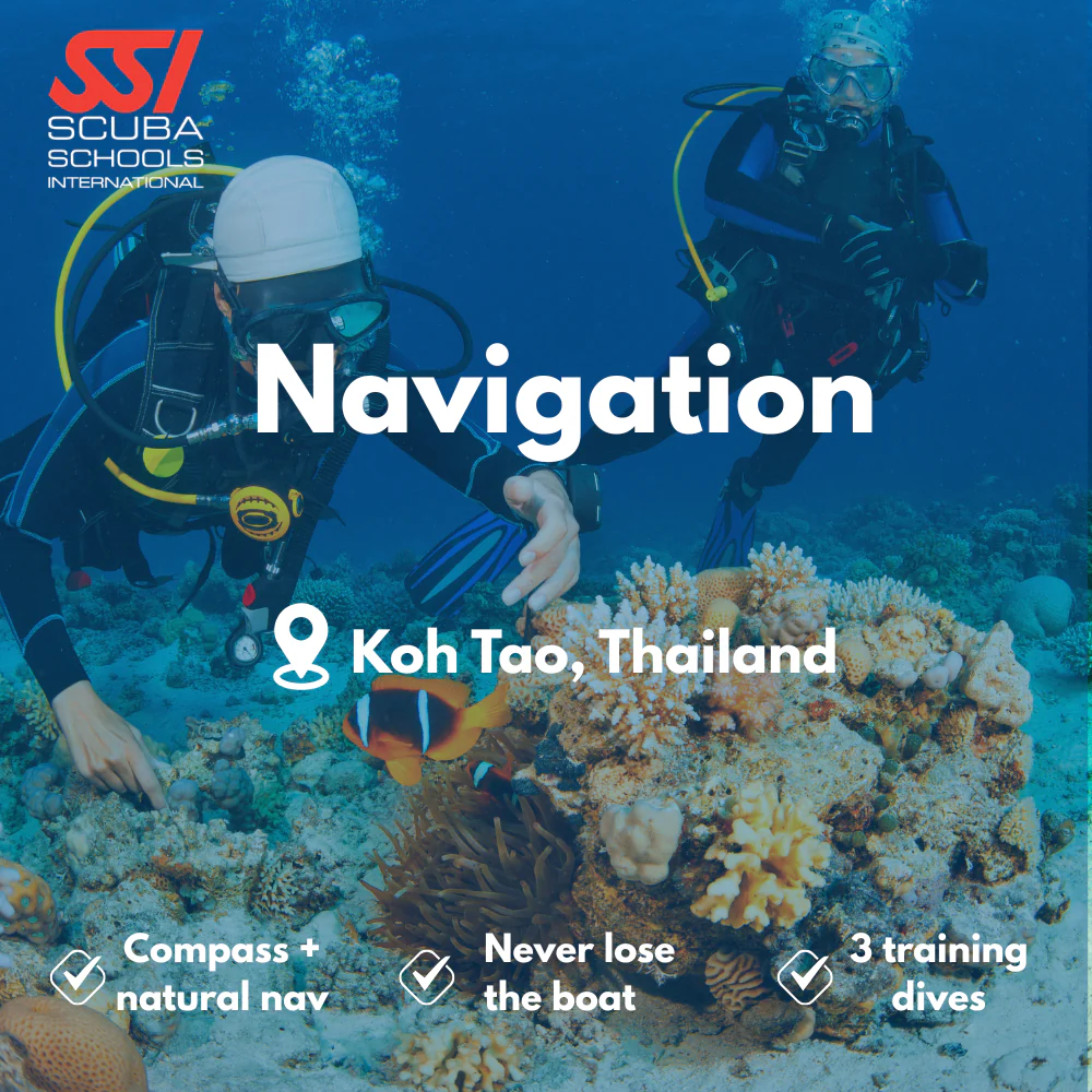 SSI Underwater Navigation course in Koh Tao