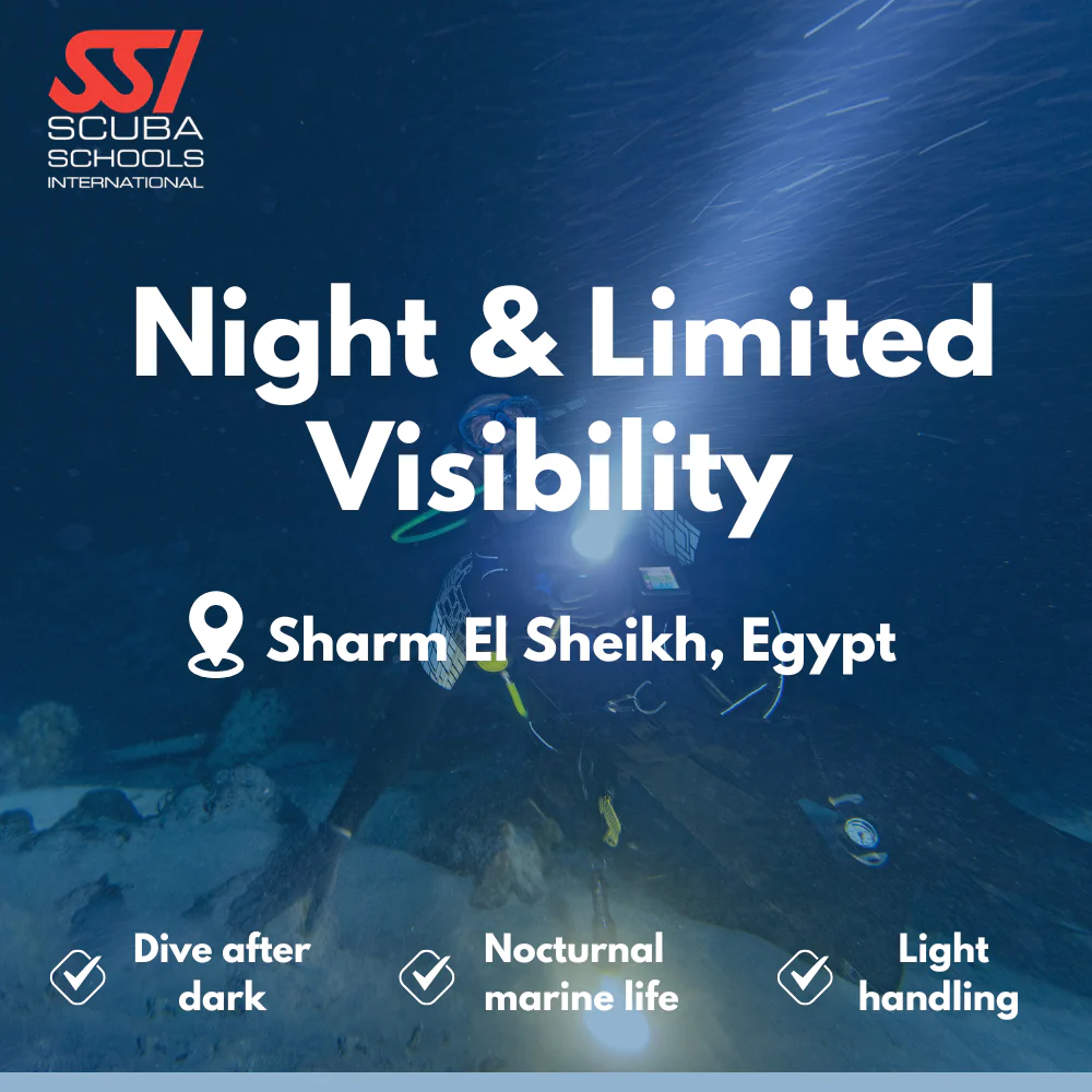 SSI Night Diver course in Sharm El Sheikh