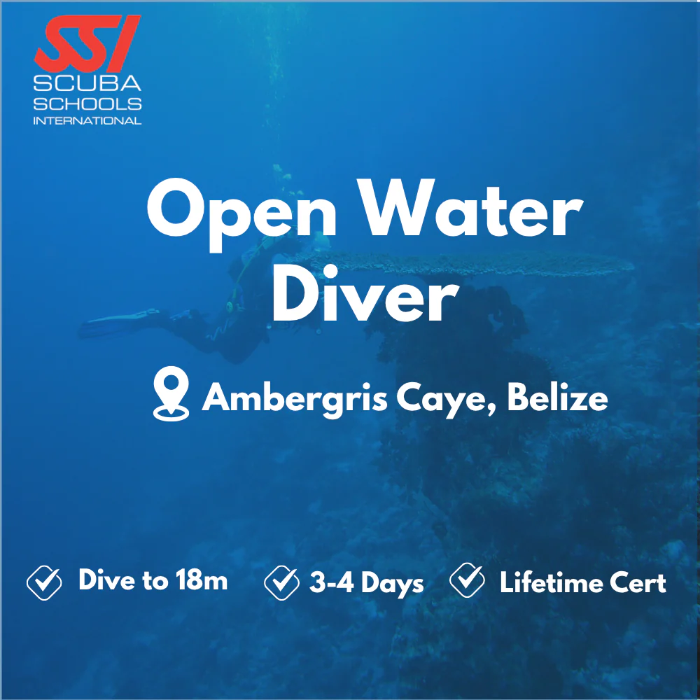 SSI Open Water Diver course in Ambergris Caye