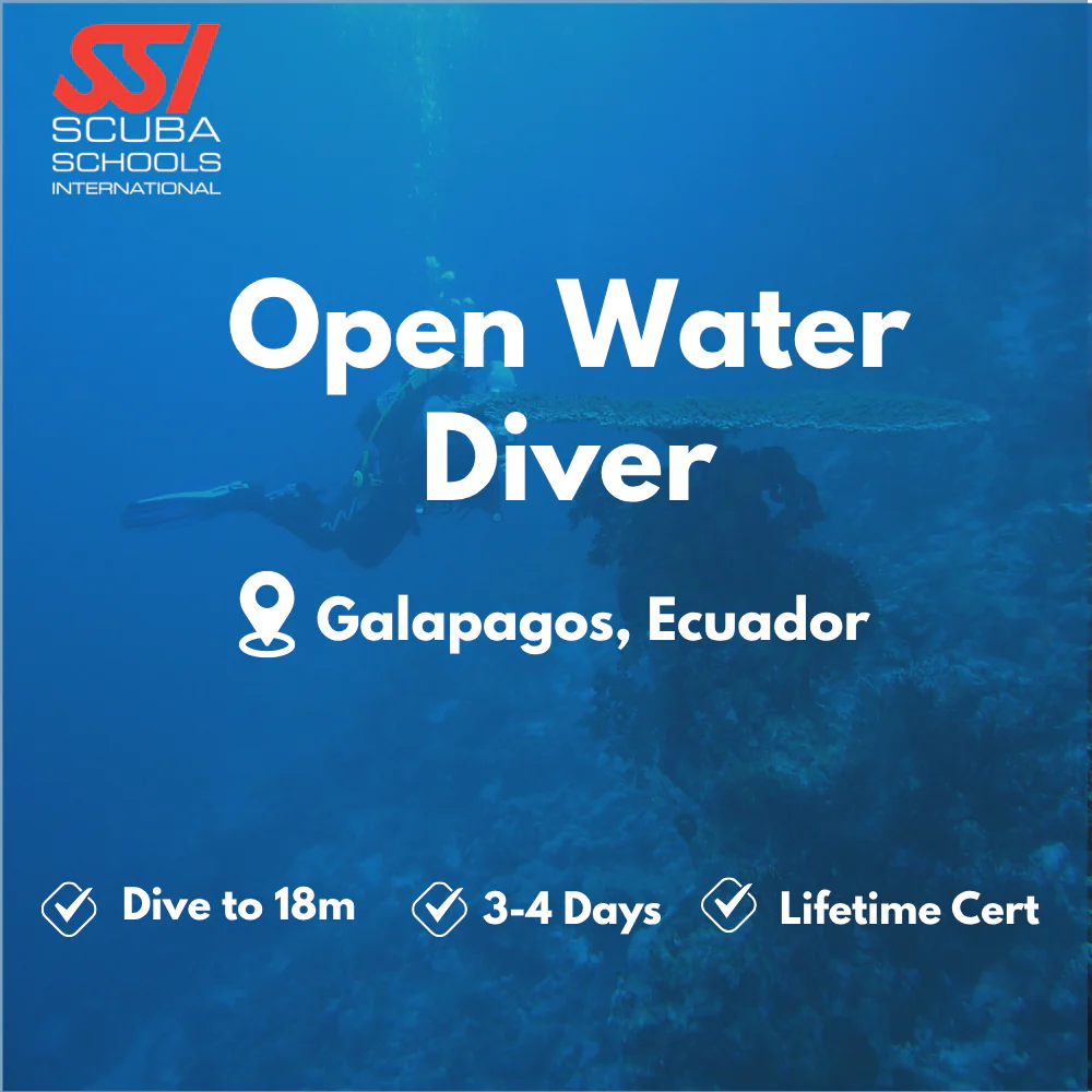 SSI Open Water Diver course in Galapagos