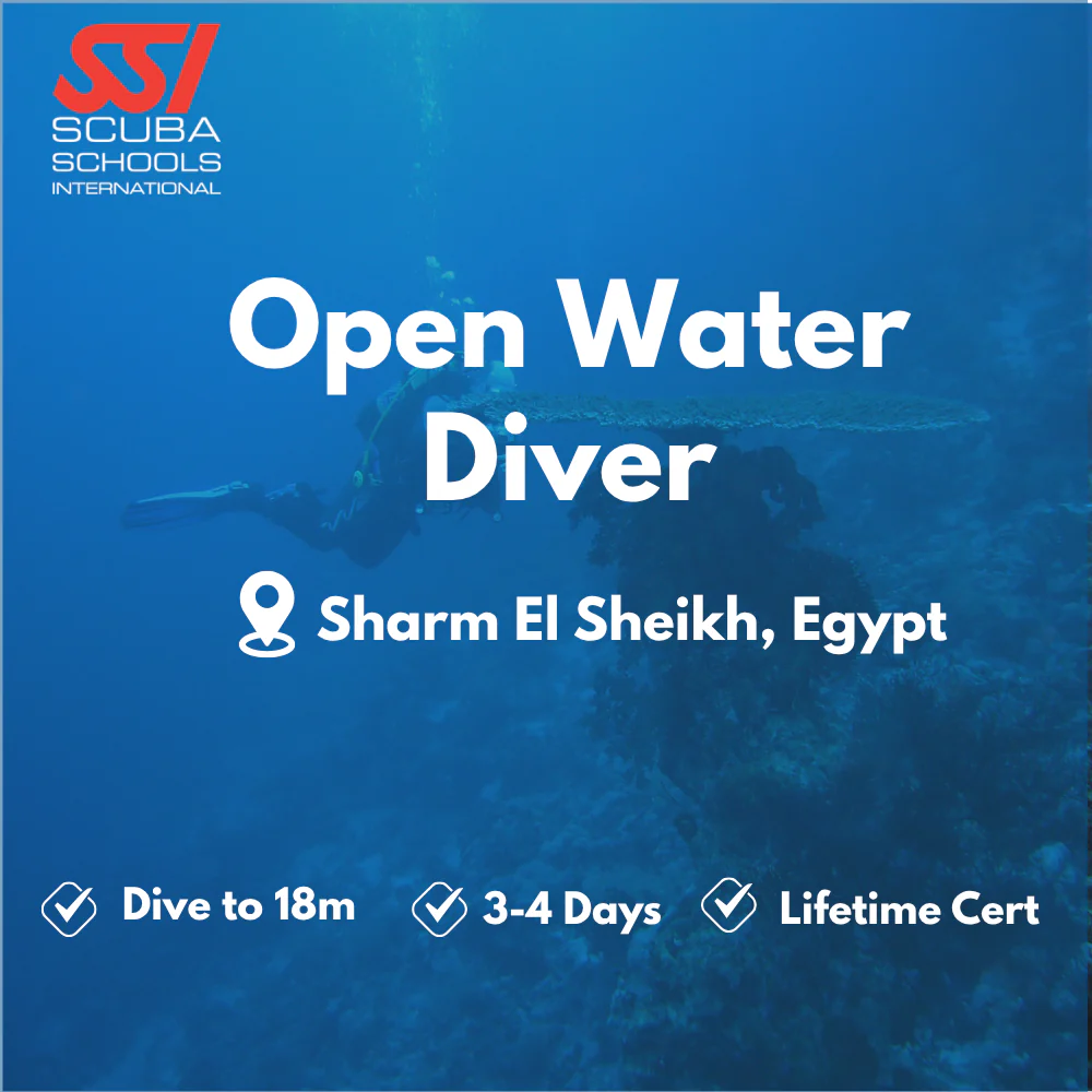 SSI Open Water Diver course in Sharm El Sheikh