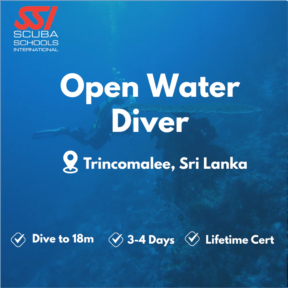 SSI Open Water Diver course in Trincomalee