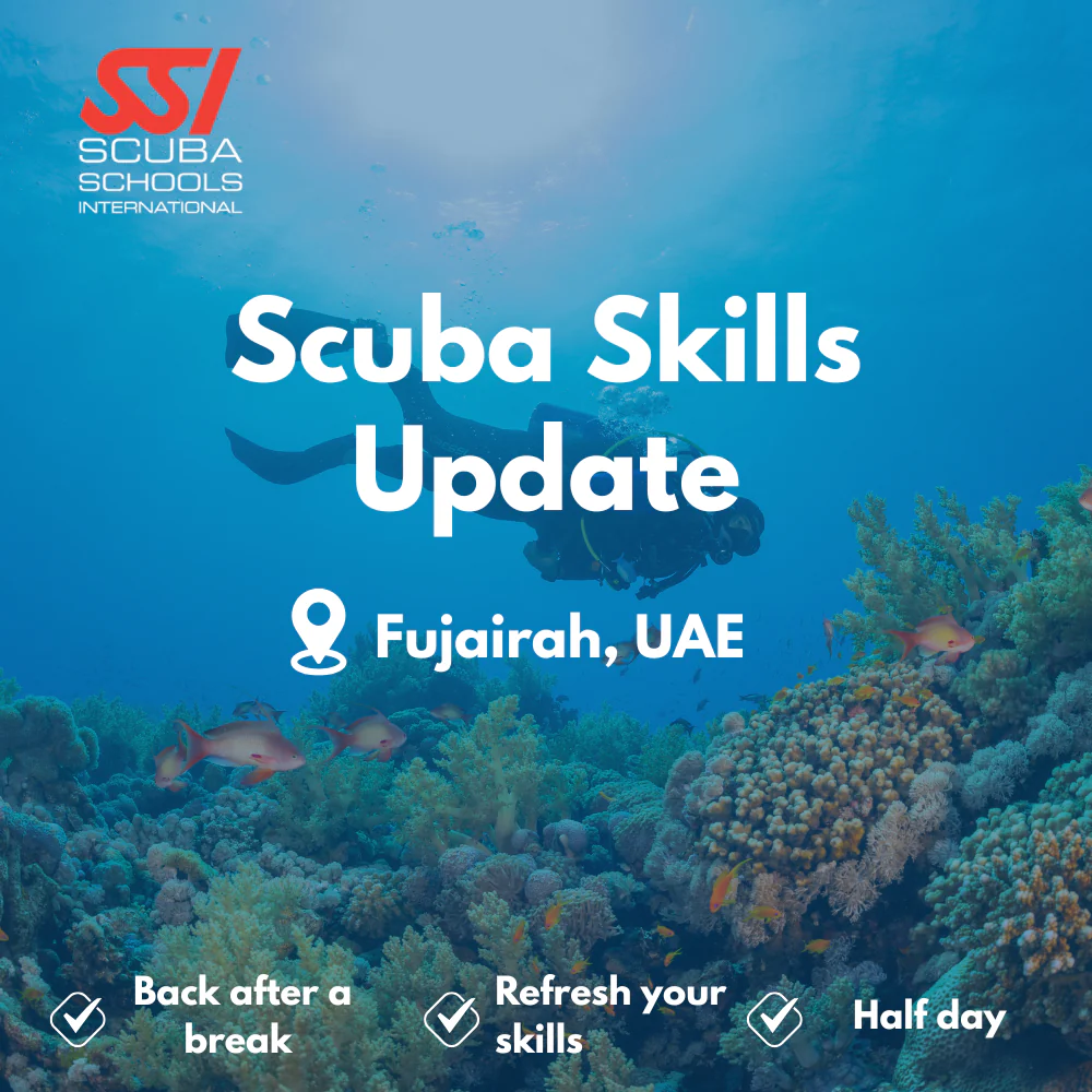 SSI Refresher / ReActivate course in Fujairah