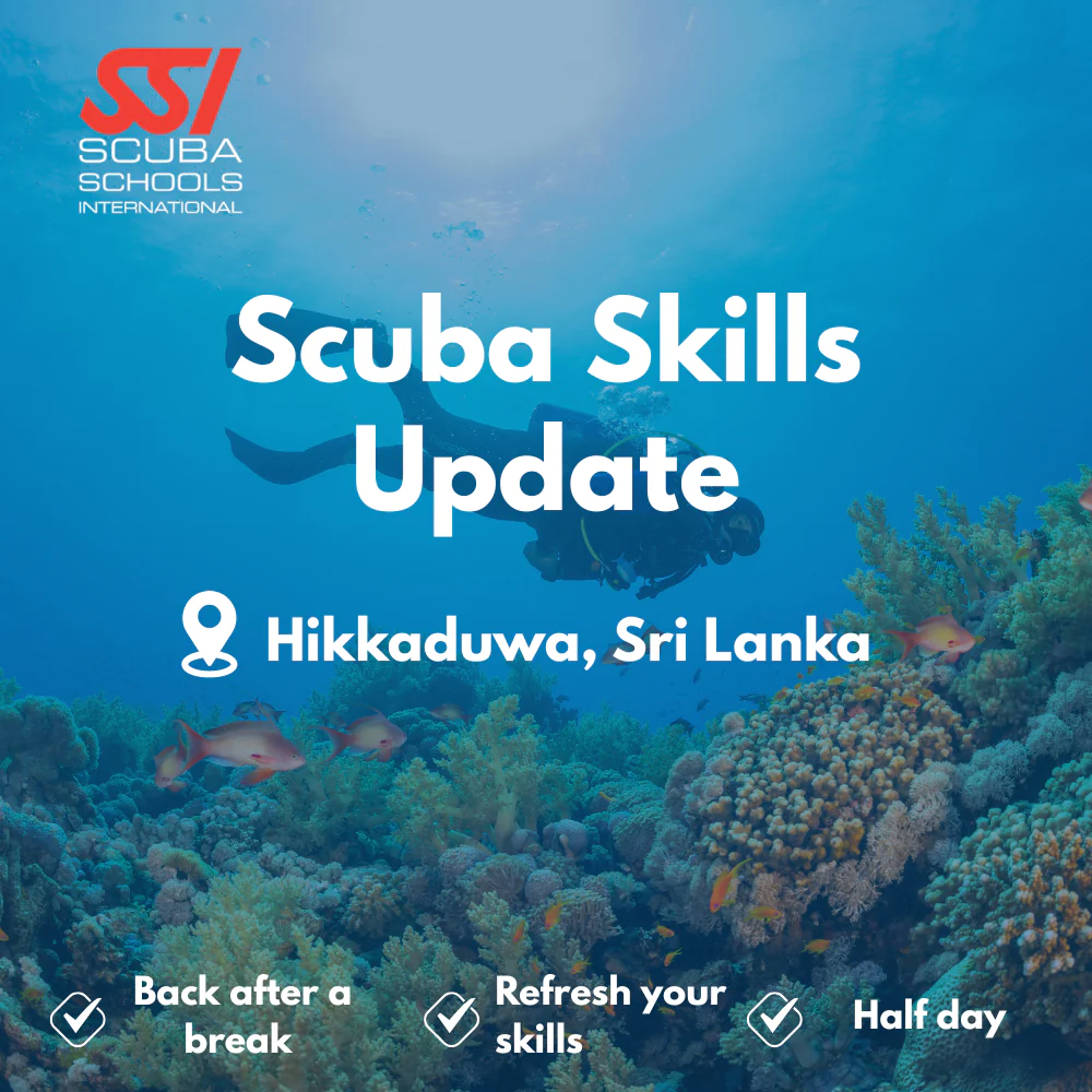 SSI Refresher / ReActivate course in Hikkaduwa