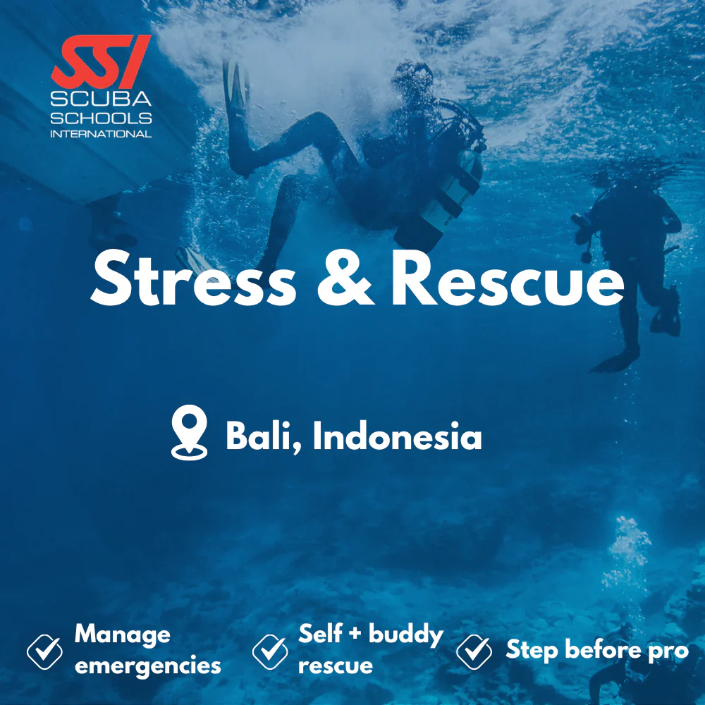 SSI Rescue Diver course in Bali