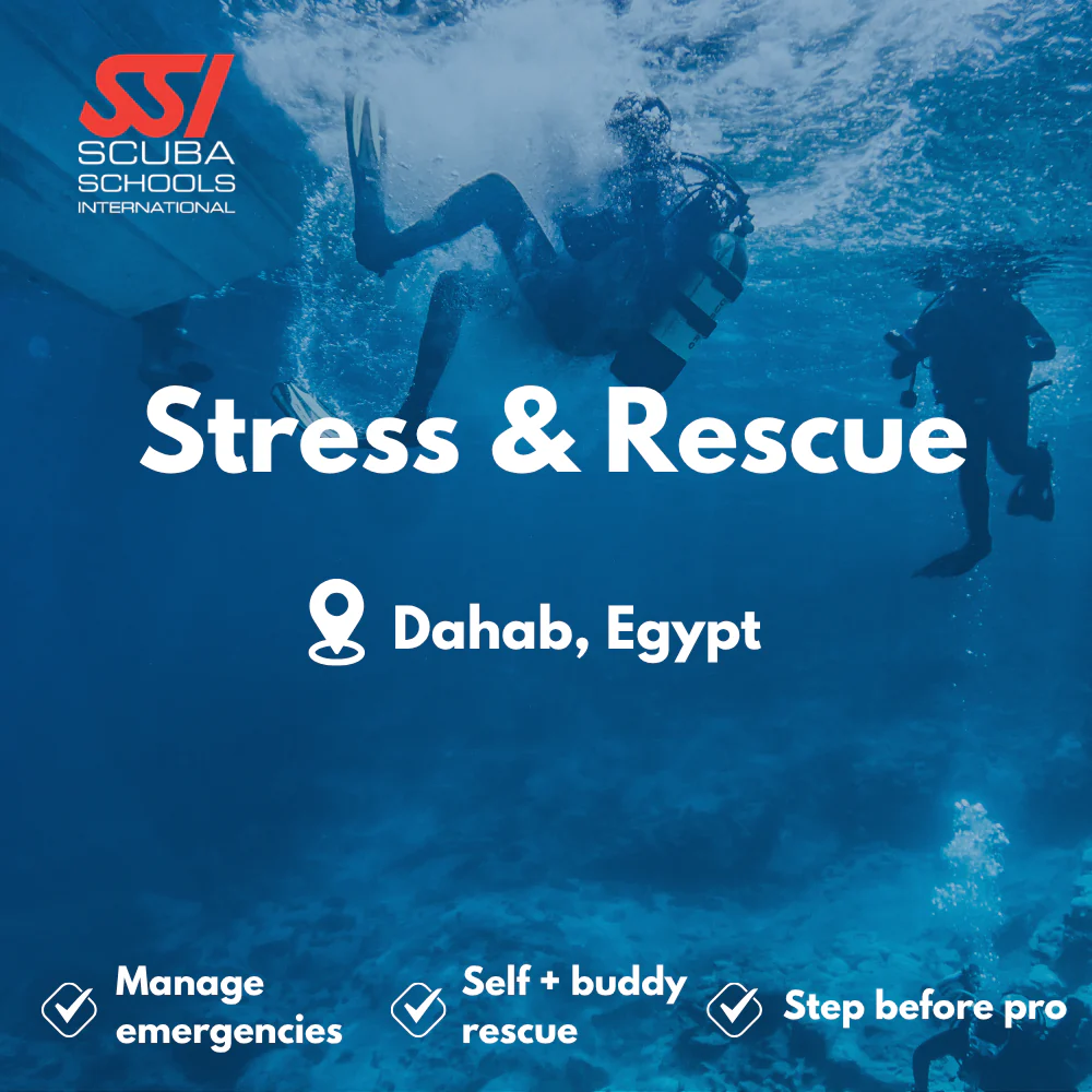 SSI Rescue Diver course in Dahab