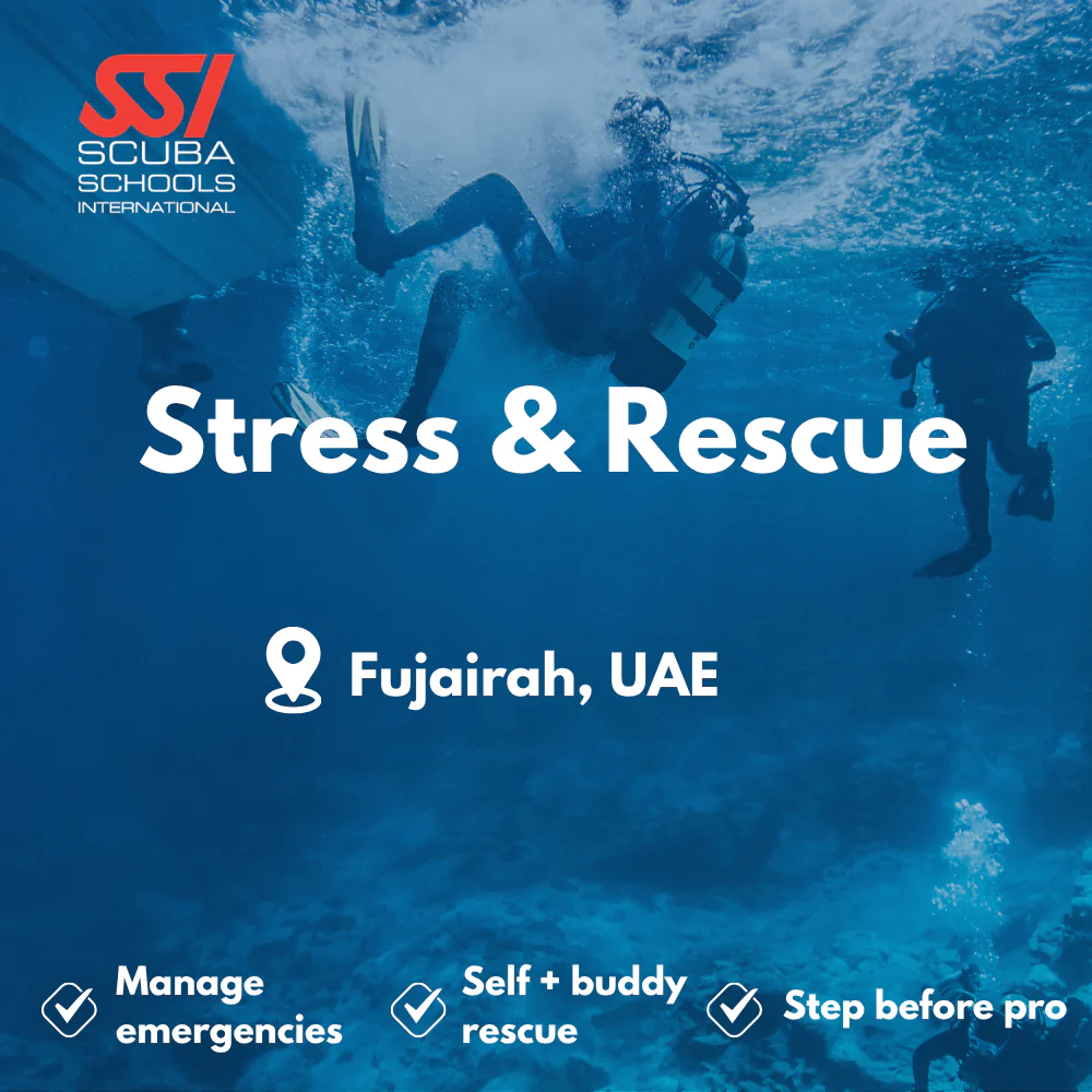 SSI Rescue Diver course in Fujairah