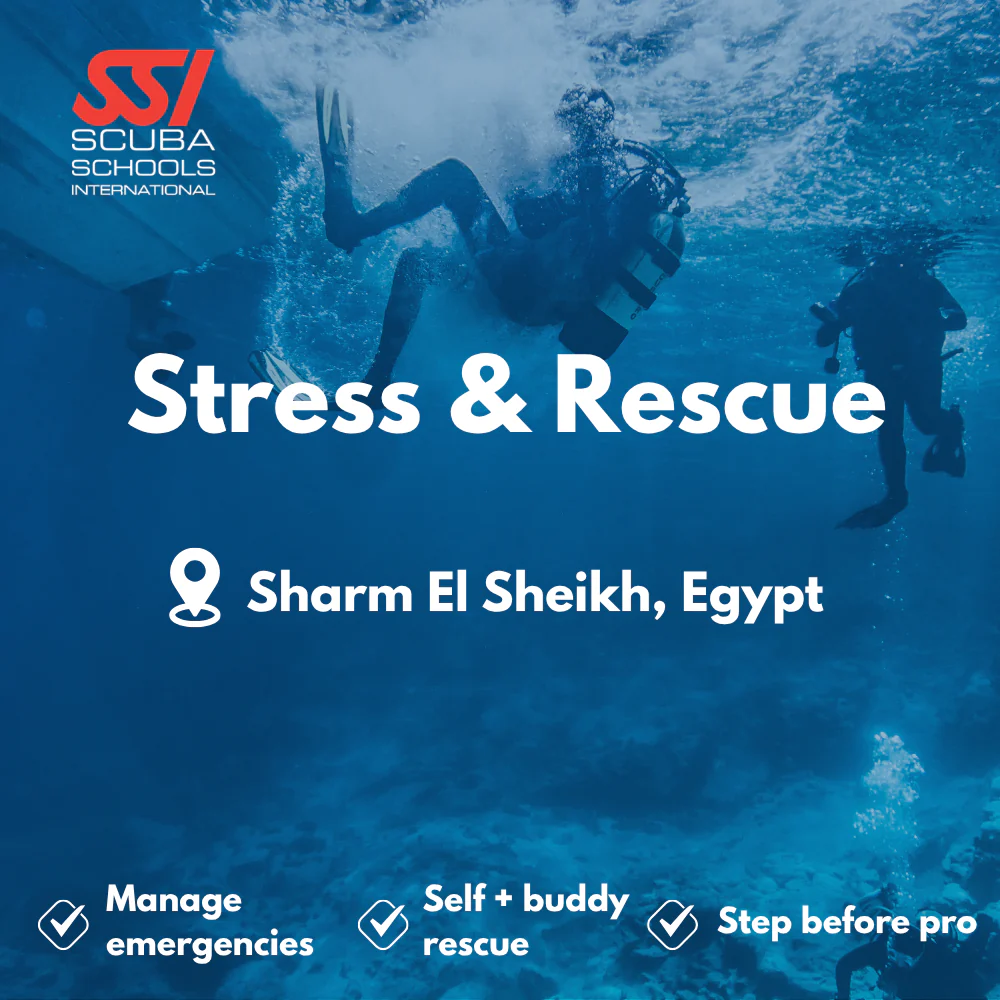 SSI Rescue Diver course in Sharm El Sheikh