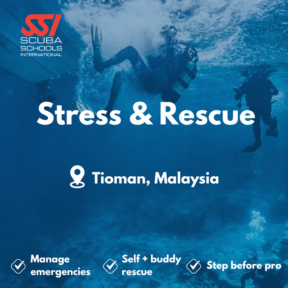 SSI Rescue Diver course in Tioman