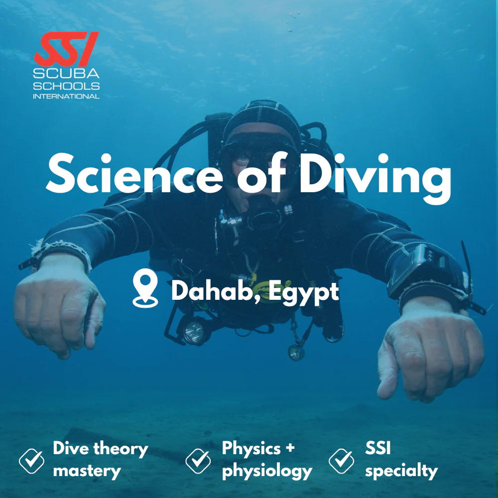 Science of Diving course in Dahab