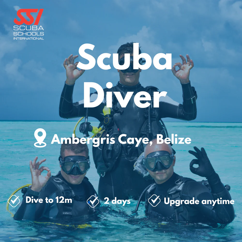 Scuba Diver course in Ambergris Caye