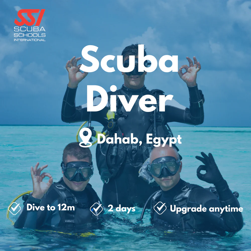 SSI Scuba Diver course in Dahab