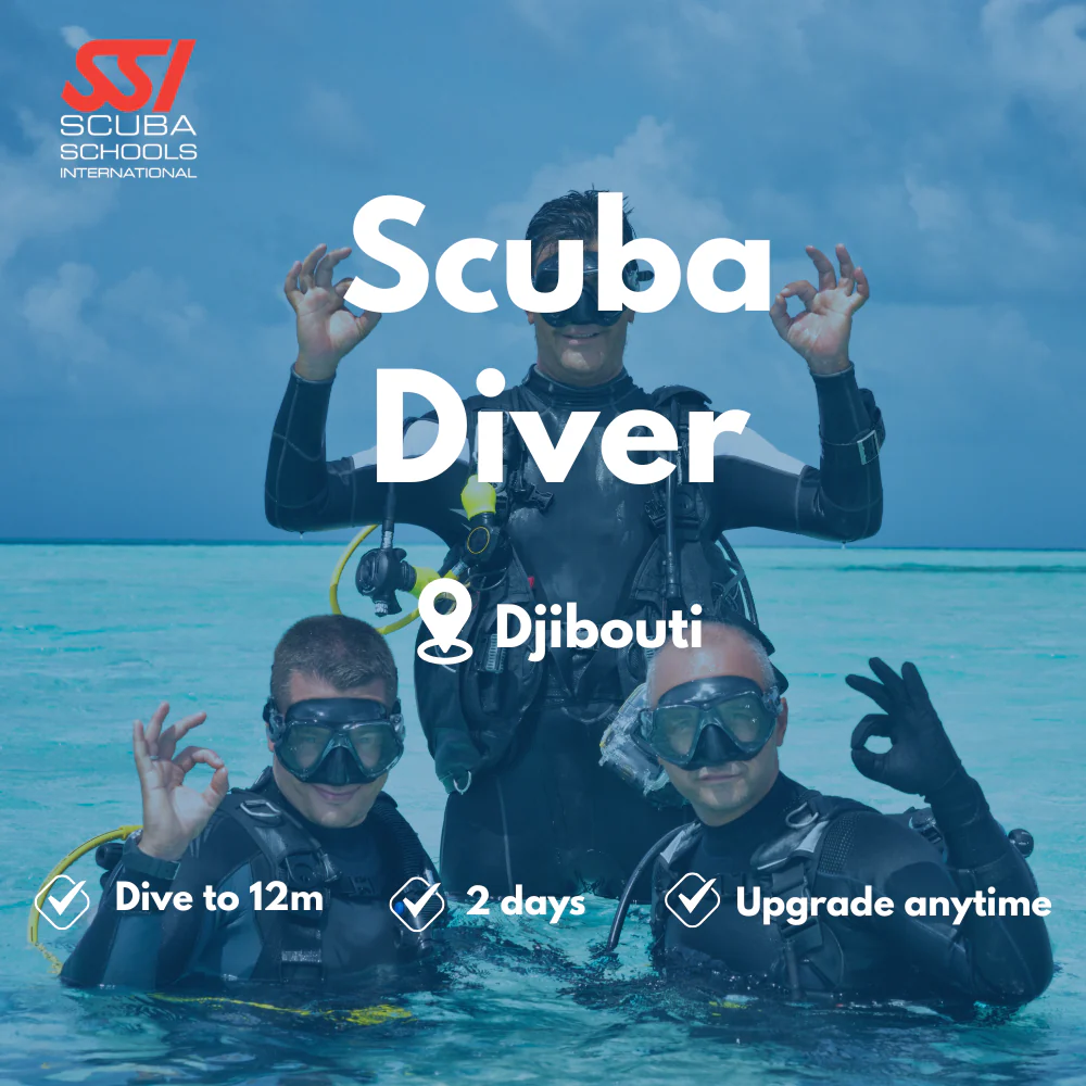 SSI Scuba Diver course in Djibouti