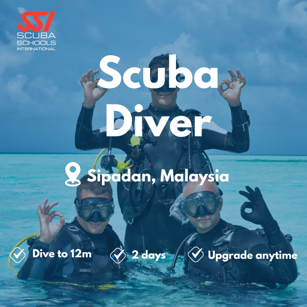 SSI Scuba Diver course in Sipadan